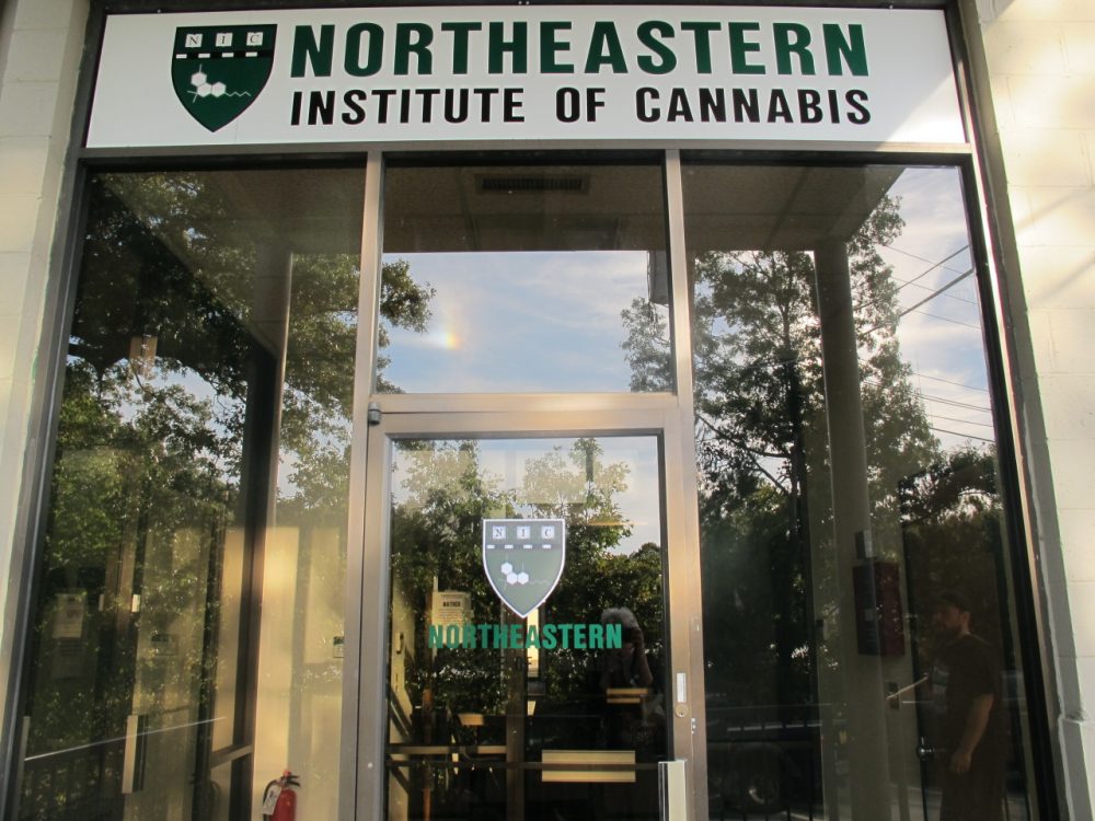 Medical Marijuana 101 What Does A Dispensary Worker Need To Know? WBUR News