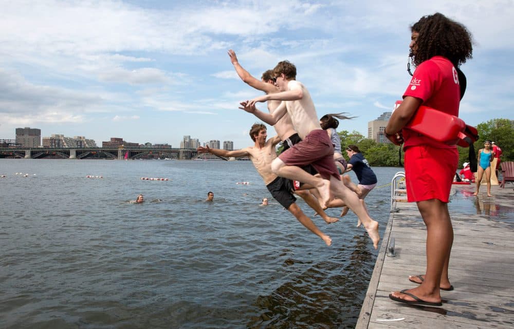 can dogs swim in the charles river