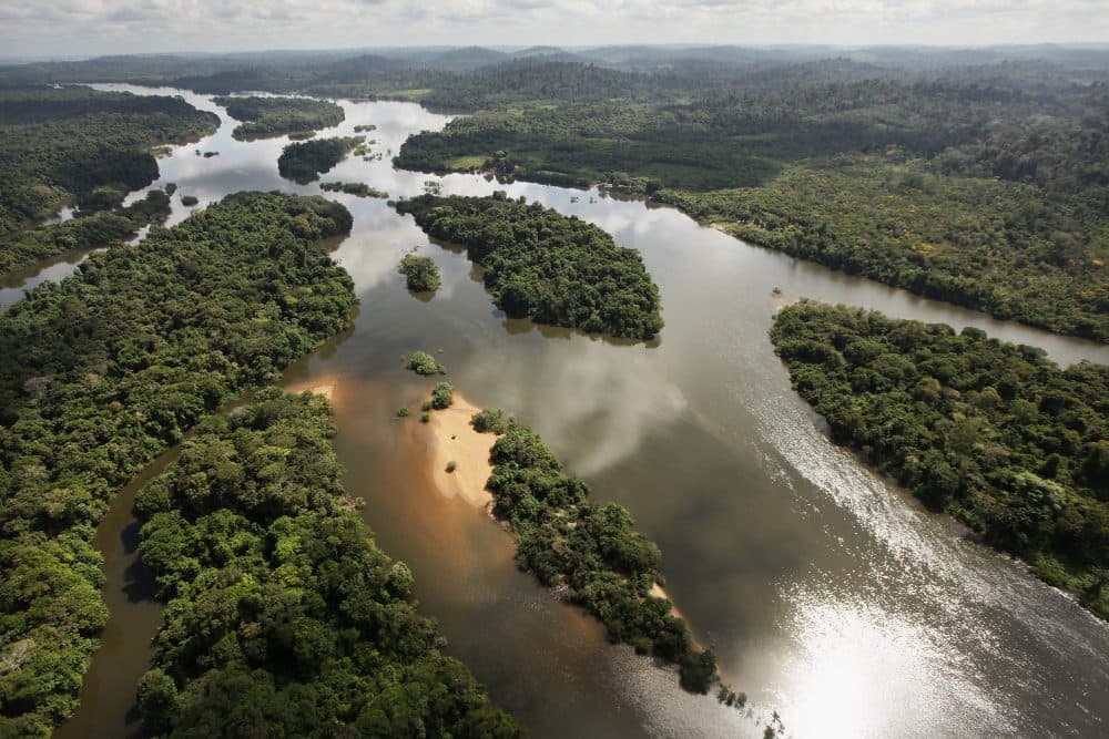 xingu river