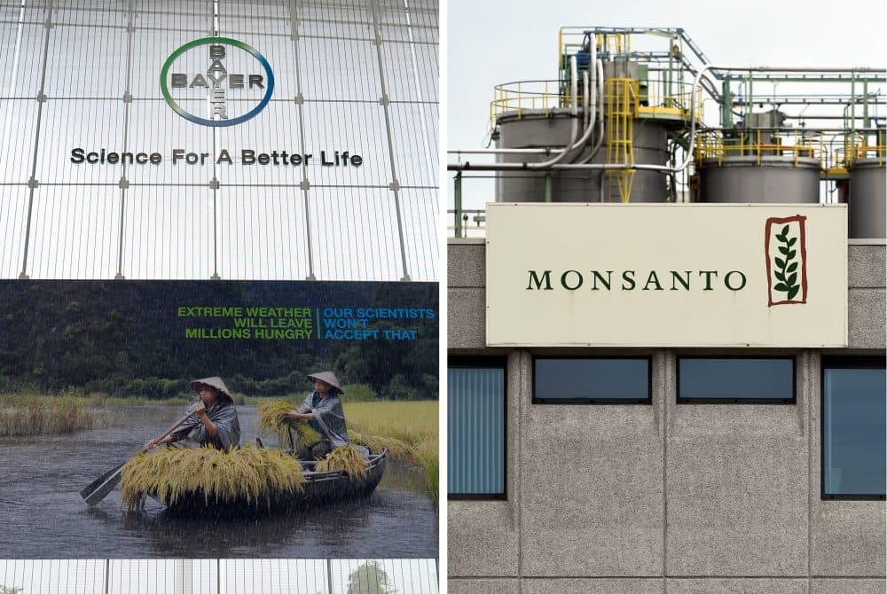 Bayer Confirms $66 Billion Acquisition Of Monsanto | Here & Now