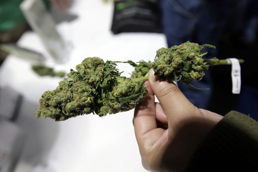 1 In 5 Mass. Adults Have Recently Used Marijuana Recreationally, Study  Finds | WBUR News