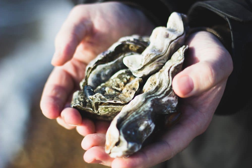 The Case For Eating Oysters — Even If You're A Vegan | Cognoscenti
