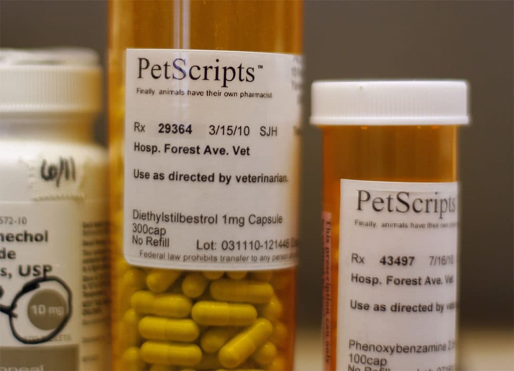 Antibiotics For Animals May Work For You, But Experts Say It's A Terrible  Idea | WBUR News