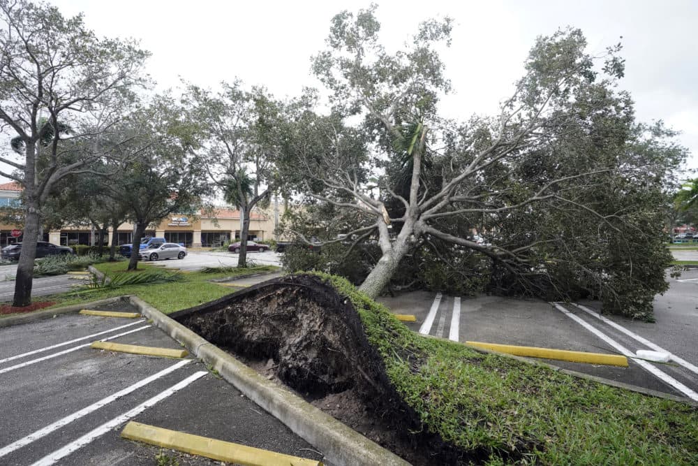 Hurricane Ian update Havoc and devastation across Florida Here & Now