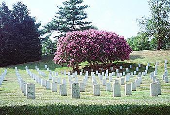 A view of Arlington in 2002. (Alex Ashlock/WBUR)