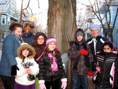 A group of students from John F. Kennedy Elementary School in Somerville works to retrieve sap from a sugar maple tree.  (Ari Daniel Shapiro for WBUR)