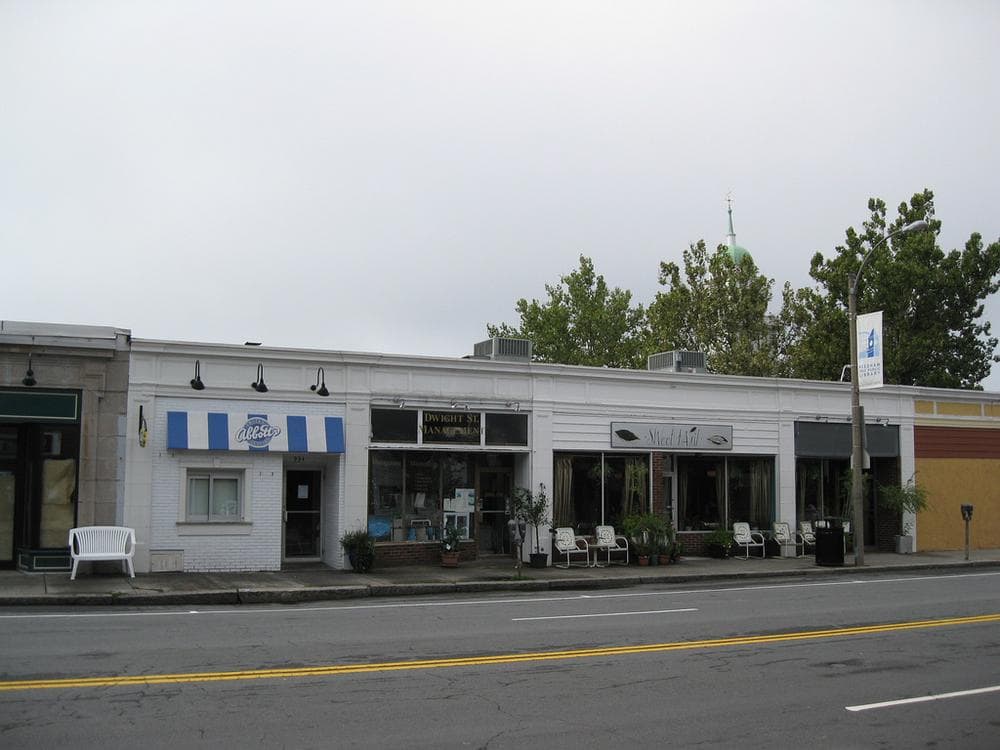 There are no empty storefronts on the town common in Needham, and business is decent. (Doug Kerr/Flickr)