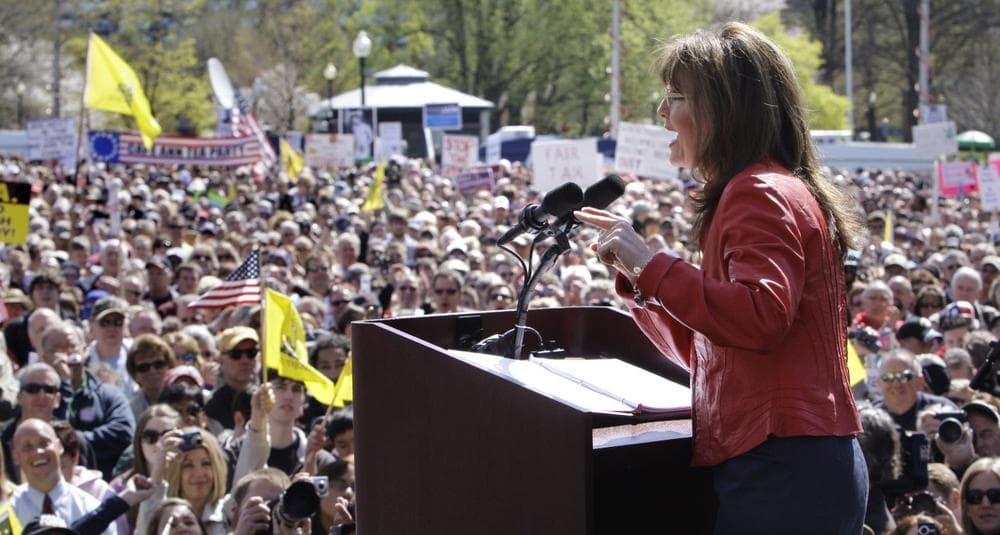 Sarah Palin addresses a crowd on Boston Common. (AP) (Click to enlarge)