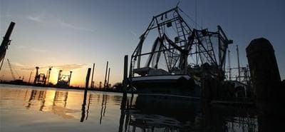 Shrimping and fishing boats are seen docked at sunrise in Venice, La. (AP)