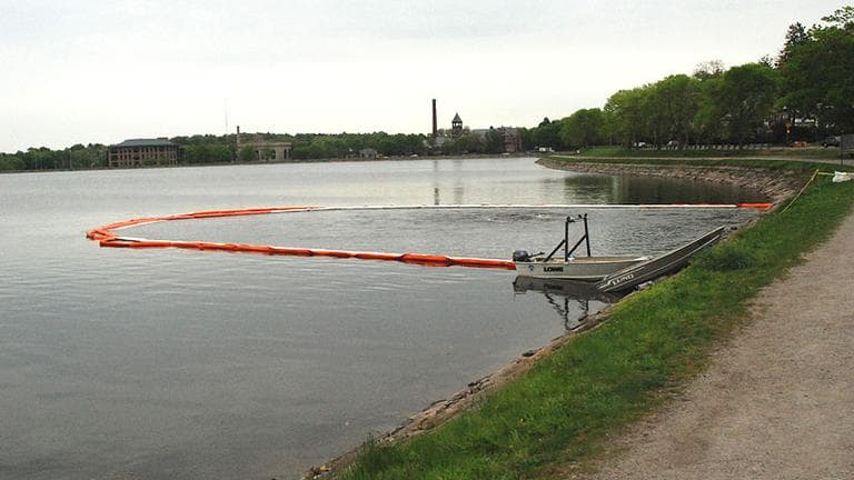 MWRA officials pumped water back into the Chestnut Hill Reservoir on Monday. Over the past few days, the reservoir has served as one of the area's emergency water sources, though its water is not safe for drinking. (Gabrielle Levy for WBUR)