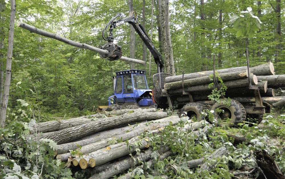 Forest products harvester Justin Gundlach uses a forwarder to offload firewood from a clearing harvest in Great Mountain Forest in Norfolk, Conn. (AP)