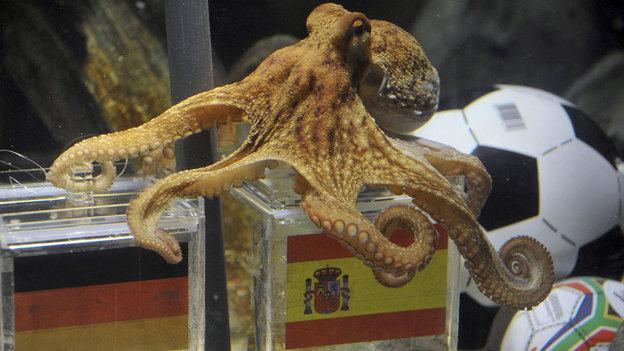In July, Sea Life Aquarium's psychic octopus, Paul, correctly predicted that Spain would beat Germany in their World Cup semifinal match in South Africa. (AP)