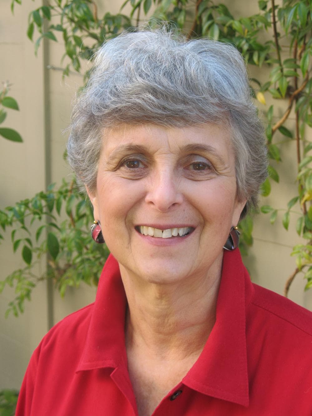 Barbara Almond, author of "The Monster Within: The Hidden Side Of Motherhood."