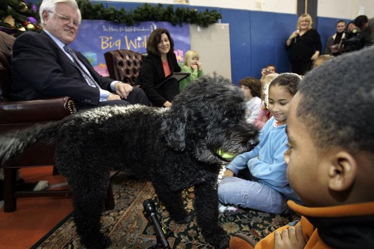 Portuguese water dog "Splash," owned by Sen. Edward Kennedy, approaches Nicholas Davis, 9, of Boston, while Kennedy reads his book, "My Senator and Me: A Dog's Eye View of Washington D.C. " in 2006. (AP)