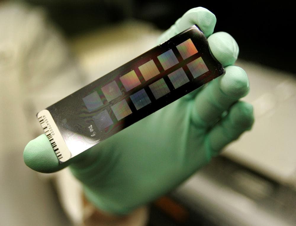 An example of a slide used for testing DNA. (AP)
