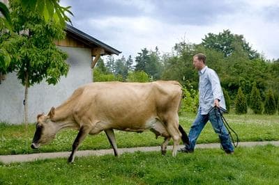 Kurt Timmermeister works on his farm (Courtesy/Clare Baroza)