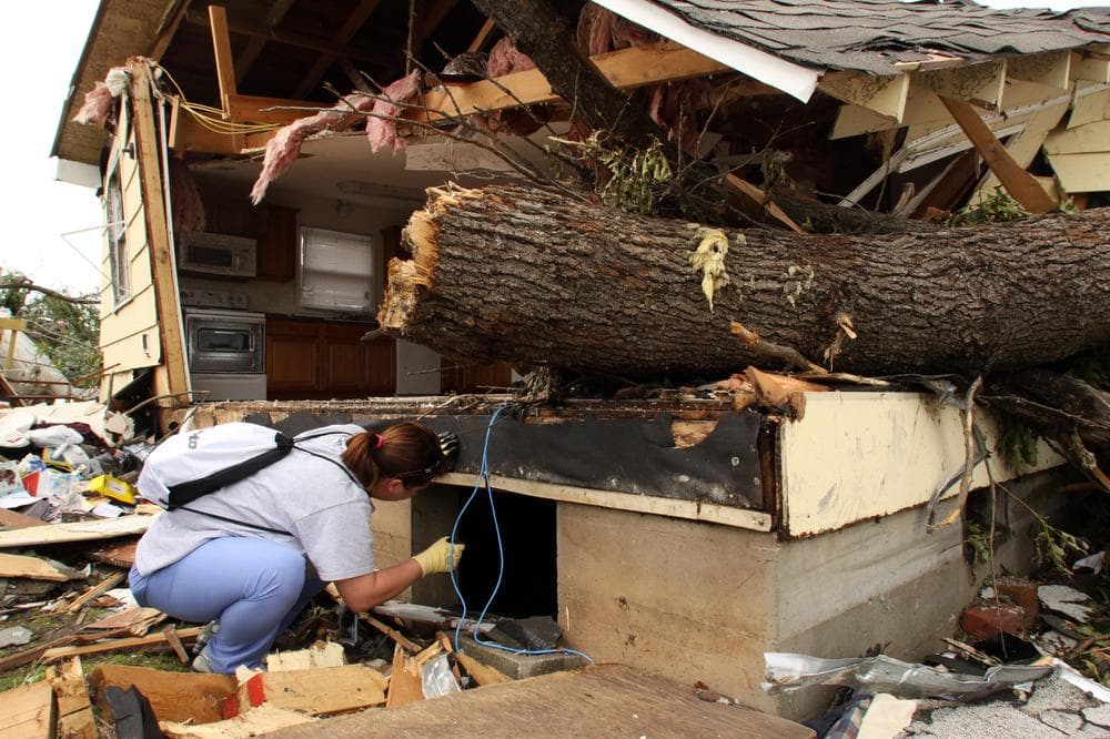 Nurse Danielle Sipi of Jefferson City, Mo., shines a flashlight into the crawlspace of a home in Duquesne, Mo, right outside of Joplin. (AP)