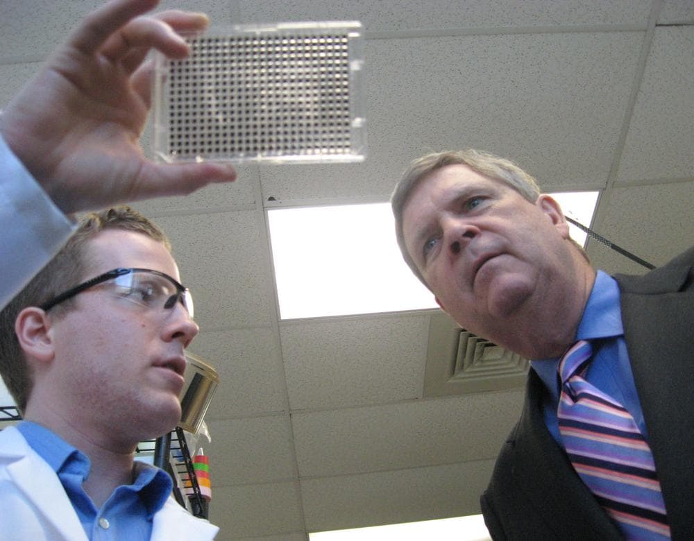 Agrivida biochemist Taran Shilling (l) shows assay plates to U.S. Agriculture Secretary Tom Vilsack (r) at the company's Medford headquarters. (Curt Nickisch/WBUR)