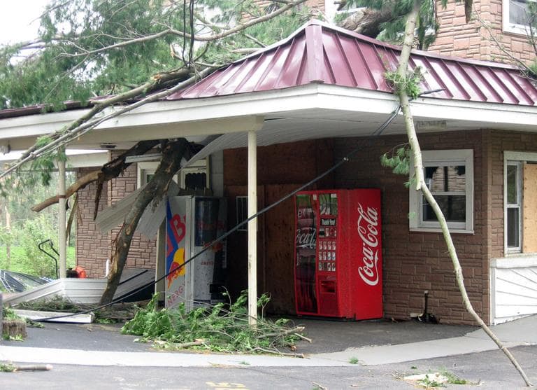 Wednesday's tornado felled trees that damaged this Days Inn in Sturbridge. (Sacha Pfeiffer/WBUR)