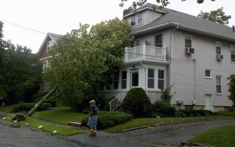 A tree rests on a house on Chester Street in Belmont. (Jesse Costa/WBUR)