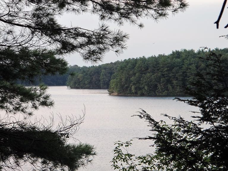Judy Larocque loved to spend time at Lake Cochituate in Framingham. (Dan Mauzy/WBUR)