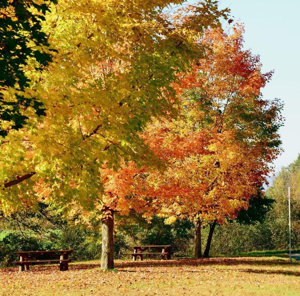 Peak Time For Leaf Peepers Comes Late This Year | Here & Now