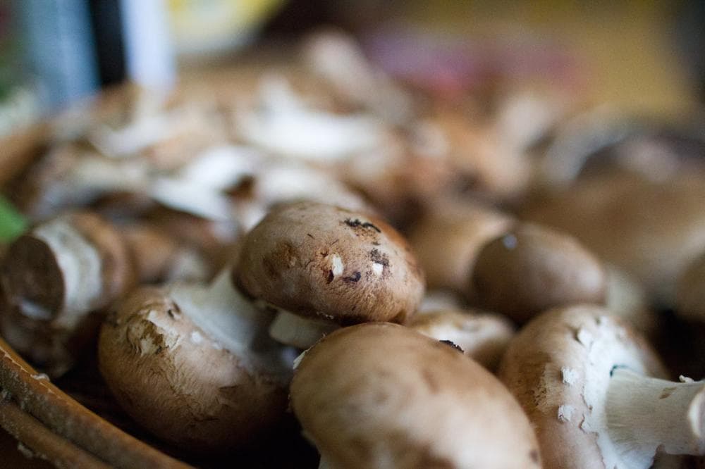 (Jesse Costa/Here &amp; Now)