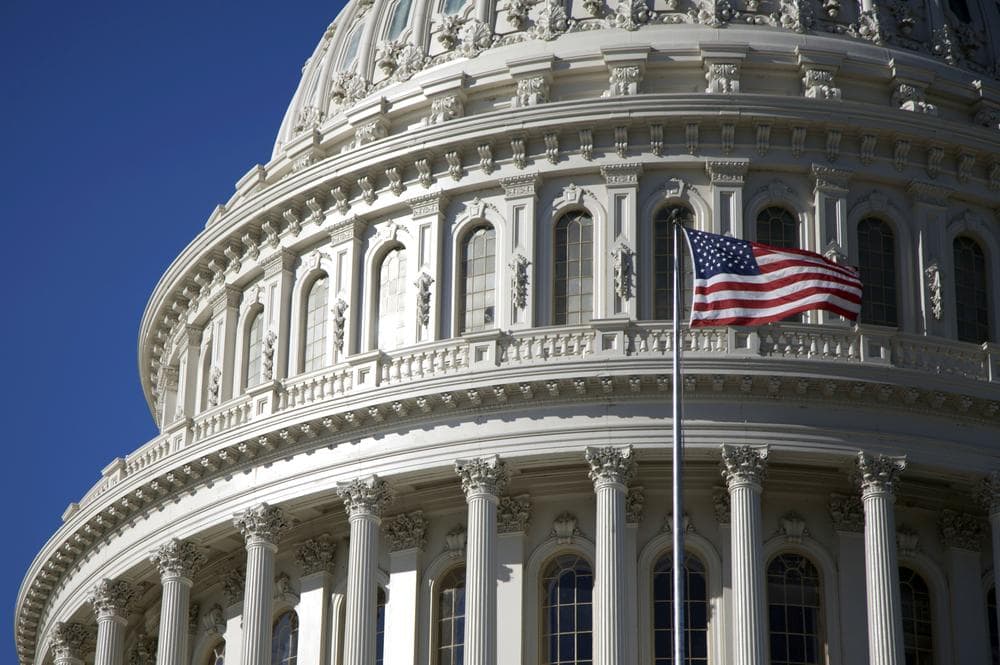 The U.S. Capitol building. (AP)