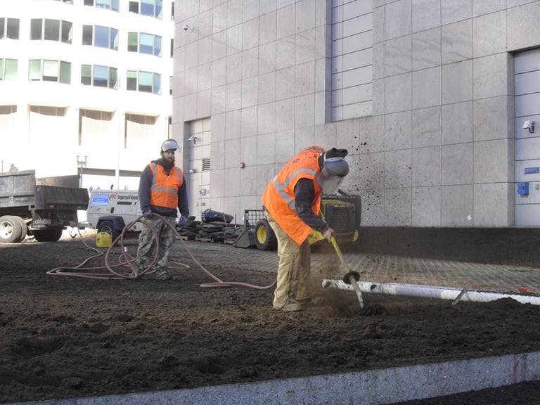 Workers use an air spade to aerate the soil in Dewey Square, Sunday. (Kathleen McNerney/WBUR)