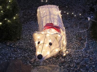 (Monica Brady-Myerov/WBUR)