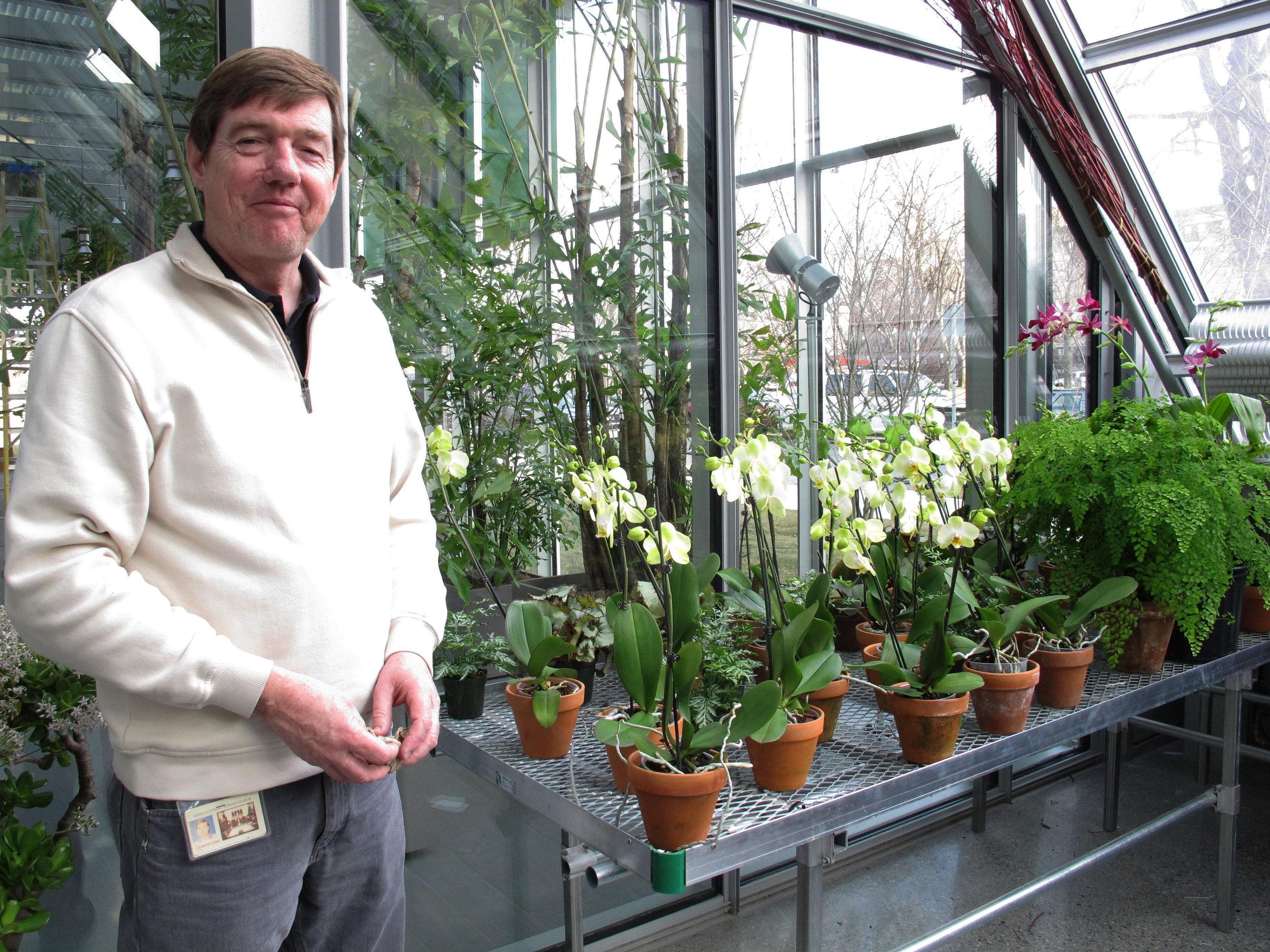 As Part Of Expansion, Gardner Museum Gets A New Greenhouse