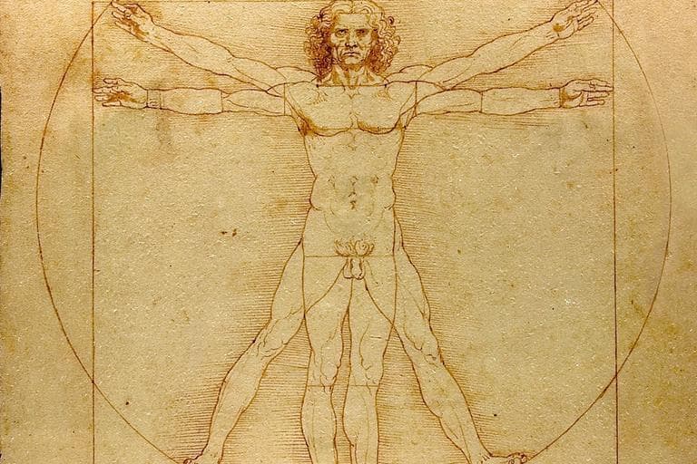 The Vitruvian Man drawing by Leonardo da Vinci circa 1487.