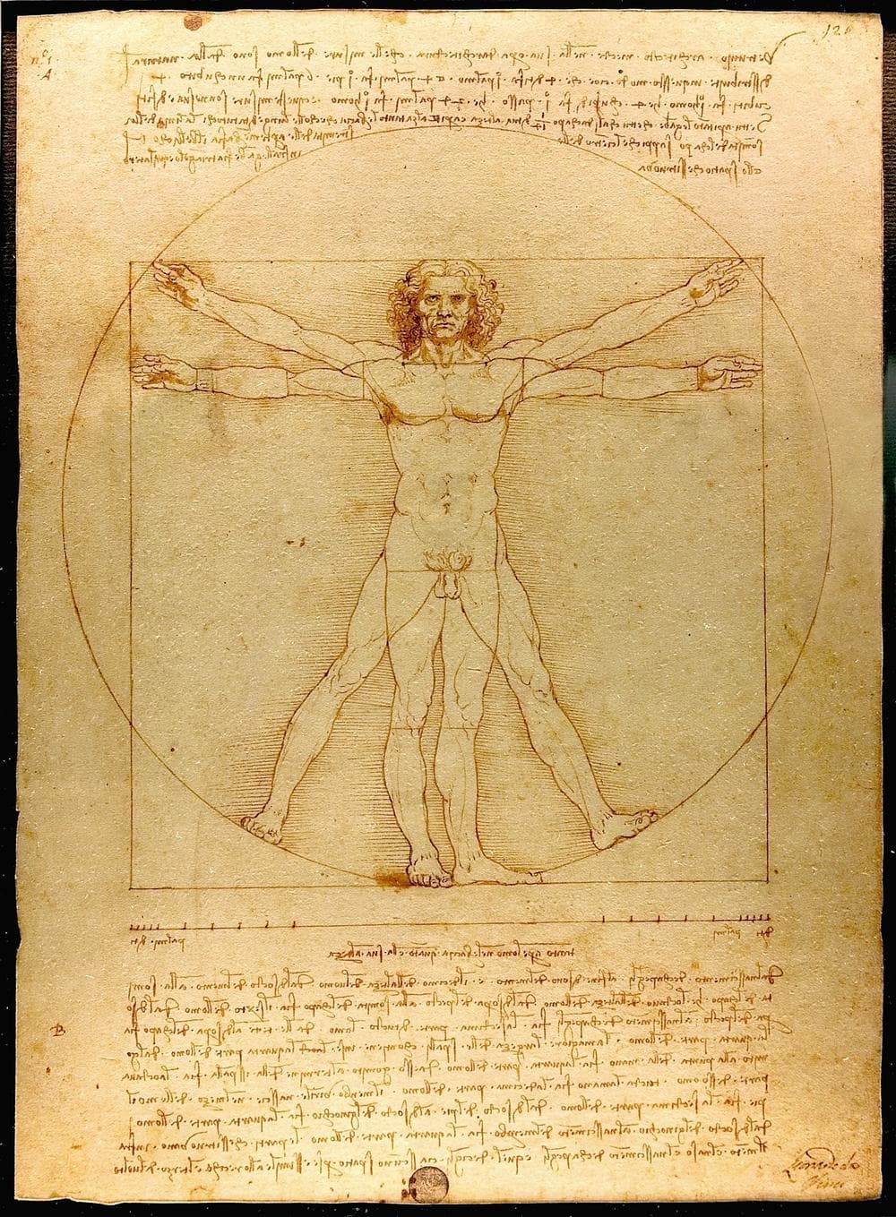 The Vitruvian Man drawing by Leonardo da Vinci circa 1487.