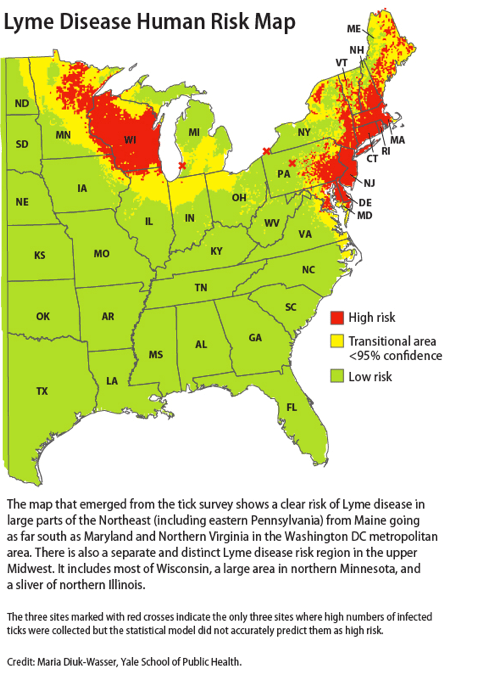 Ticks With Lyme Disease Map The Ultimate Lyme Disease Map So Far Wbur News