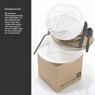 Emergence-see