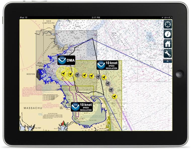 A screenshot of the new whale app (Courtesy)