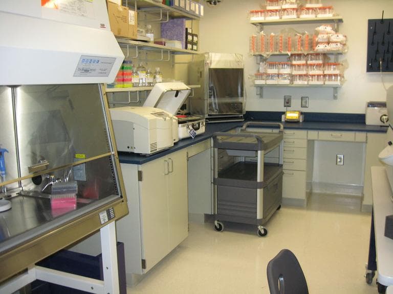 A biosafety level 3 lab, where researchers expect to eventually study pathogens including anthrax and plague. (Lynn Jolicoeur for WBUR)