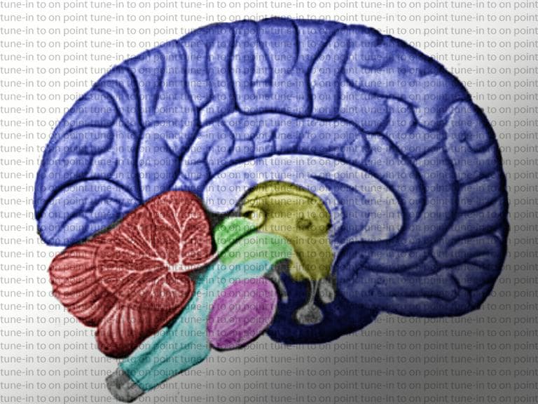 photo illustration (Alex Kingsbury/WBUR)
