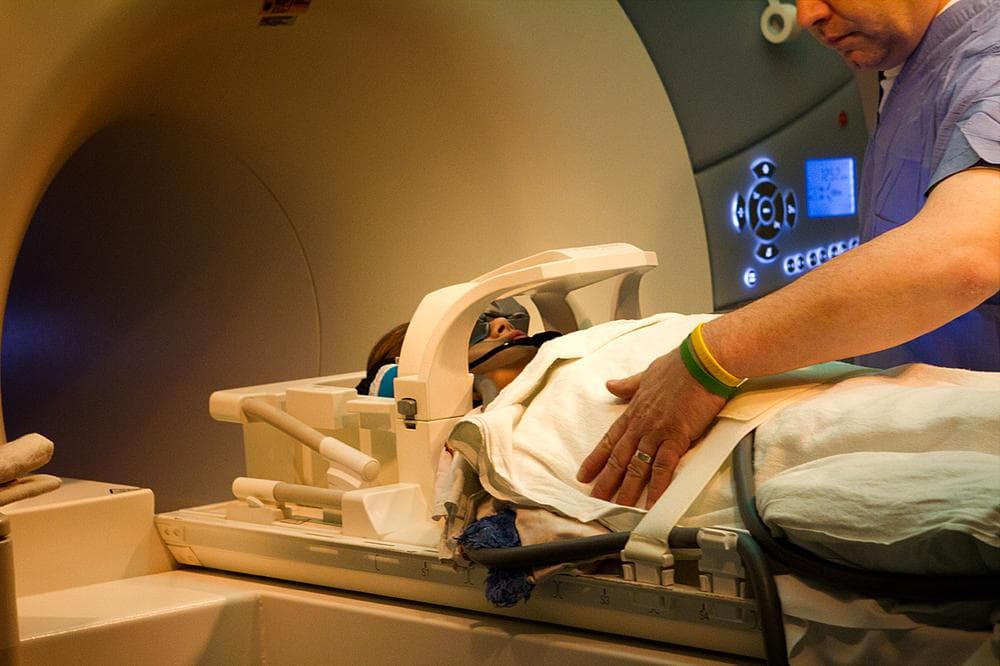 Rosanna Sattler, a Boston attorney who specializes in space law and has hope for the new asteroid mining company. (Jesse Costa/Here &amp; Now)