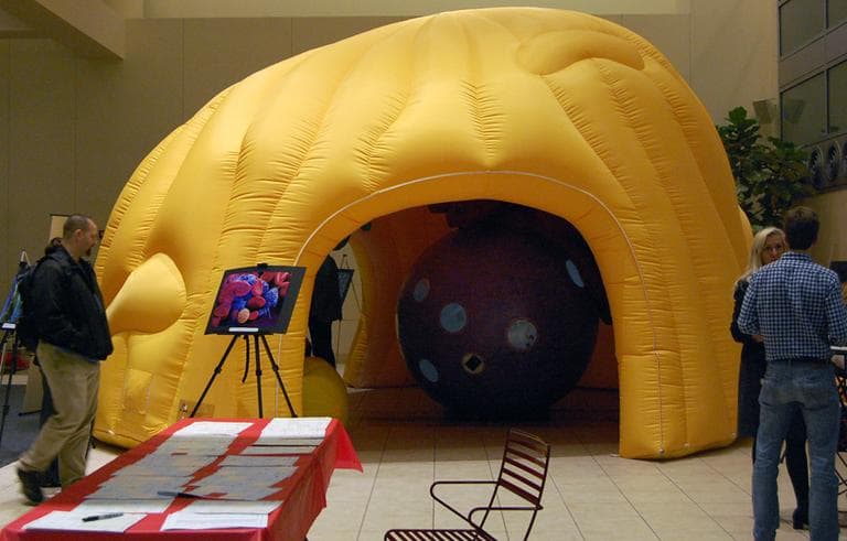 The Giant Cell on display in the Atrium in Technology Square as part of the Cambridge Science Festival. The Giant Cell is a joint project of the University of Basel and Interpharma. (Nate Goldman/WBUR)