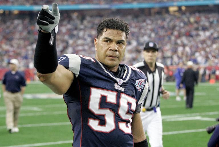 New England Patriots linebacker Junior Seau during the Super Bowl XLII football game on Feb. 3, 2008, in Glendale, Ariz. (AP)