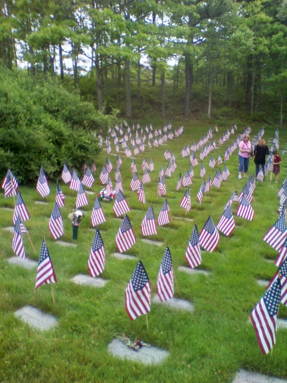 Massachusetts National Cemetery . (WBUR/Alex Ashlock)