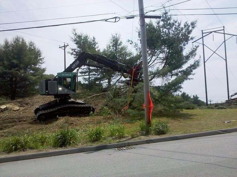 A crew working for NStar clears trees near the utility’s high voltage transmission lines in Wayland. (Lynn Jolicoeur for WBUR)