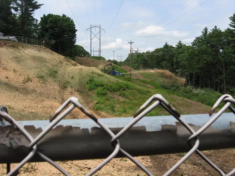 NSTAR right-of-way from Stonebridge Road in Wayland, where crews working for NStar cleared and chipped trees this week. (Lynn Jolicoeur for WBUR)