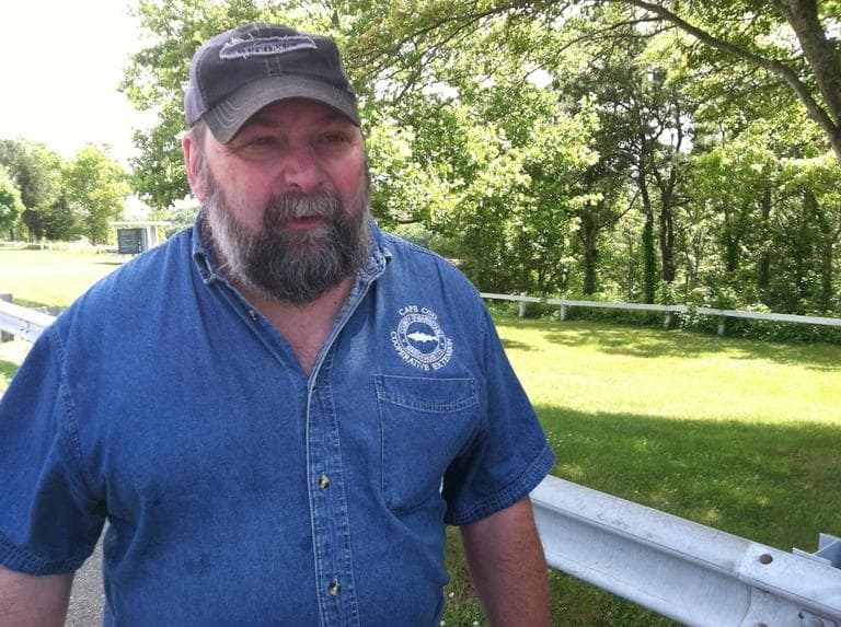 Larry Dapsis, entomologist for Barnstable County (Steve Brown/WBUR)