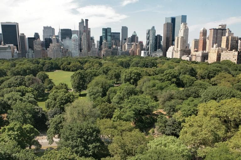 A view of New York's Central Park from a giant-helium filled balloon as it hovers to celebrate the park's 150th anniversary, Friday July 25, 2008. The purpose of the rides is to mark the 150th anniversary of Central Park, the U.S.'s first major urban park, created by architects Frederick Law Olmsted and Calvert Vaux and opened to the public in 1858. (AP)