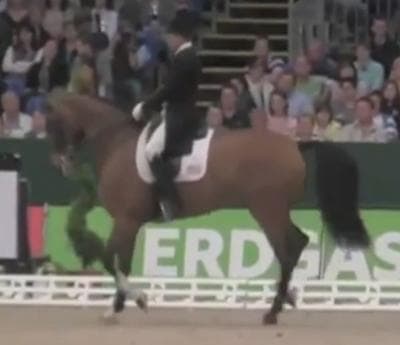 Ann Romney's dressage horse Rafalca.