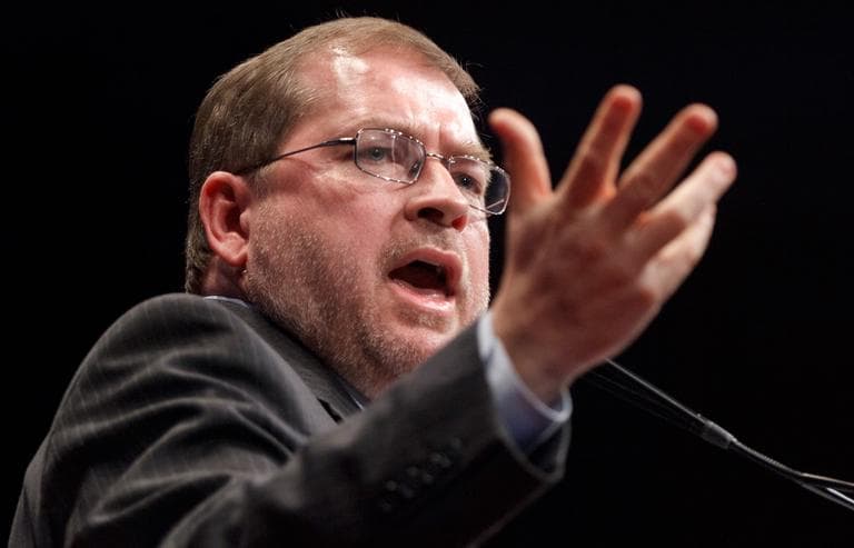According to Dan Payne, not signing anti-tax activist Grover Norquist's pledge is a "job killer." Here, Norquist addresses the Conservative Political Action Conference in Washington on Feb. 11. (AP)