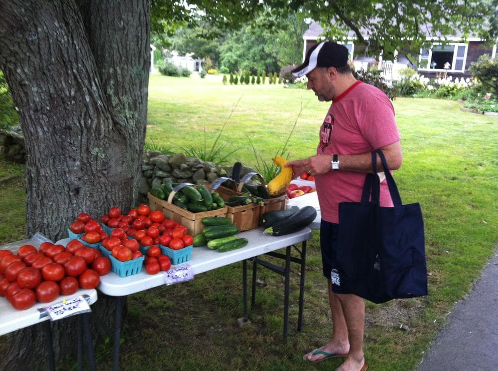 Jim Solomon, chef/owner of Boston's first certified green restaurant, The Fireplace, sourcing local veggies in Rhode Island.
