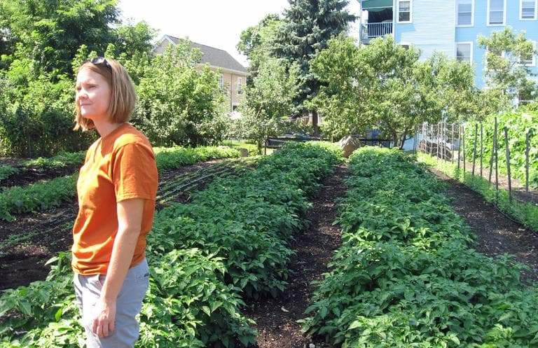 Kathleen Banfield, community programs coordinator for The Food Project, at one of the nonprofit's urban farms in Dorchester. (Sacha Pfeiffer/WBUR)